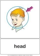 Bildkarte - head.pdf